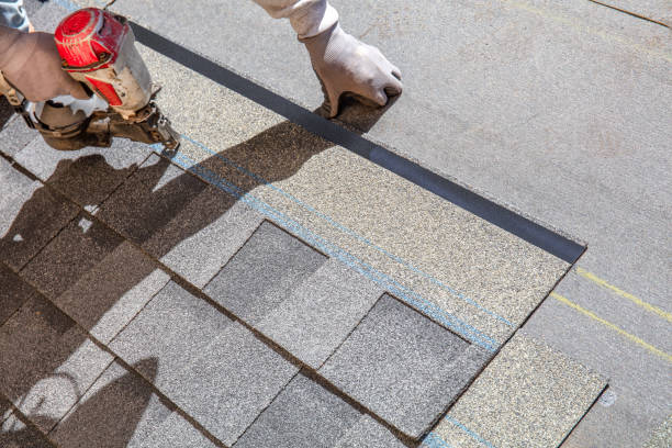 Best Roof Gutter Cleaning  in Fort Pierre, SD